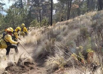 Con una efectividad del 100 por ciento, Gobierno de Puebla atiende incendios