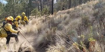 Con una efectividad del 100 por ciento, Gobierno de Puebla atiende incendios