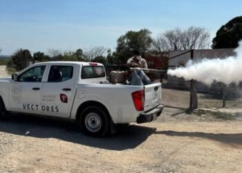 Mantiene sector Salud acciones de combate al dengue