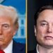 Trump advierte a Musk con represalias si apoya a candidatos demócratas