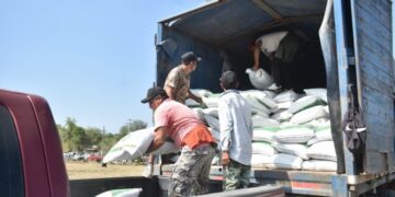 Abren ventanillas para el programa de fertilizante a citricultores