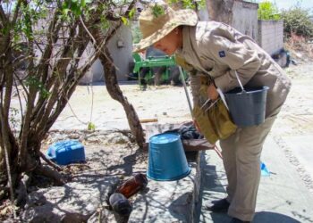 Dengue disminuye 81% en Puebla durante 2025: Salud