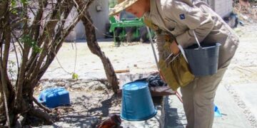 Dengue disminuye 81% en Puebla durante 2025: Salud