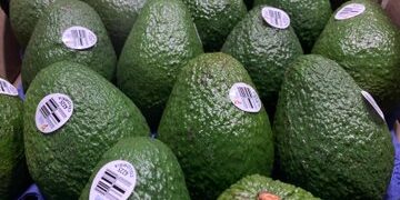 Japón avala calidad sanitaria de aguacate y cárnicos mexicanos