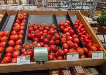 Estados Unidos alista arancel al jitomate mexicano y México sigue sin acuerdo