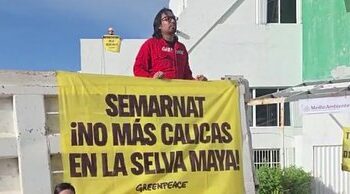 Greenpeace exige detener permisos de extracción en selva por el Tren Maya