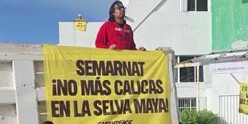 Greenpeace exige detener permisos de extracción en selva por el Tren Maya