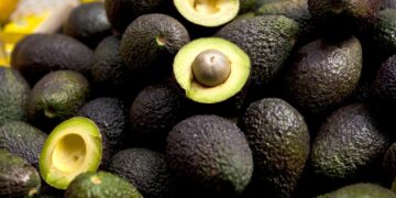 México inicia exportación de aguacate a Brasil y amplía su presencia global