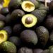 México inicia exportación de aguacate a Brasil y amplía su presencia global