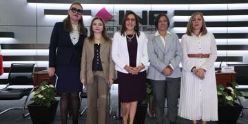 INE presenta plataforma con datos de participación ciudadana de 2009 a 2024