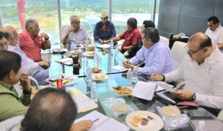 Impulsan en Tamaulipas la transformación del sorgo blanco