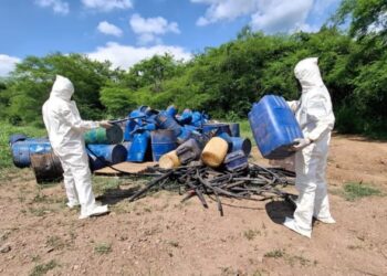 Aseguran químicos para drogas y plantío de marihuana en Sinaloa; detienen a cinco presuntos integrantes del CJNG en Chiapas