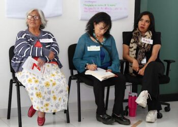 SEDIF lanza estrategia “Alerta Familias” para erradicar violencia contra féminas