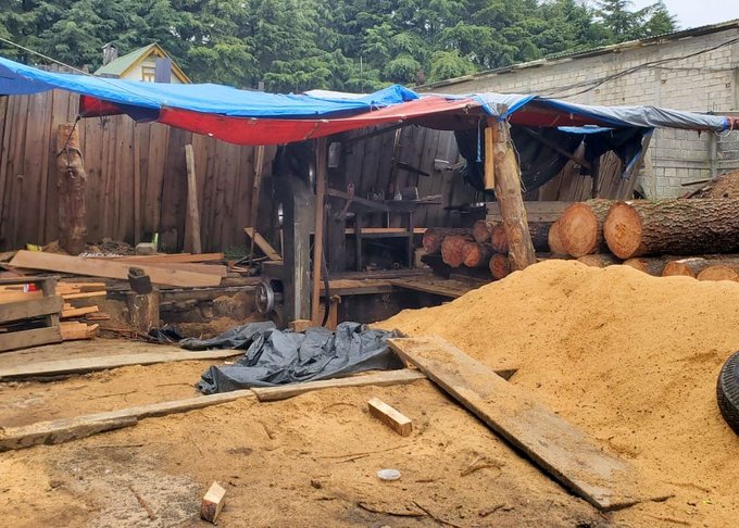 Desmantelan aserradero ilegal en Morelos; aseguran más de 16 m³ de madera