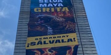 Greenpeace escala la Estela de Luz para exigir a Semarnat salvar la Selva Maya