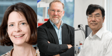 El Nobel de Medicina 2025 premia hallazgos clave sobre el control del sistema inmunitario