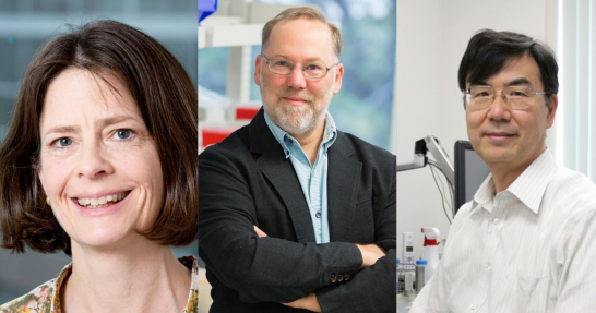 El Nobel de Medicina 2025 premia hallazgos clave sobre el control del sistema inmunitario