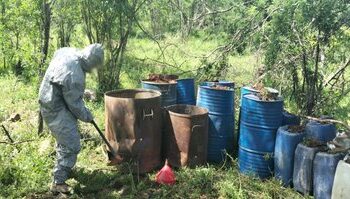 Operación Frontera Norte: desmantelan narcolaboratorio y aseguran material explosivo en cuatro estados