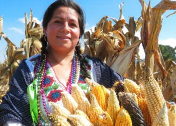 Convoca gobierno estatal a concurso fotográfico para reflejar riqueza natural y potencial turístico