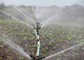 Gobierno instala más de 100 módulos para regularizar concesiones de agua en el campo