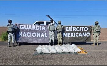 Operativos federales en Sinaloa aseguran casi 20 mil litros de precursores químicos y un campamento delictivo