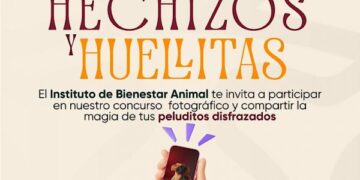 El Instituto de Bienestar Animal invita al concurso fotográfico “Hechizos y Huellitas”