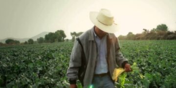 CNA llama a fortalecer al campo con productividad y reglas claras