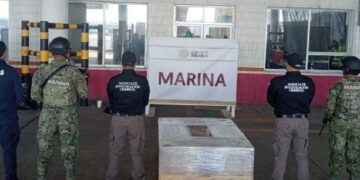 Asegura Marina droga psicodélica oculta en cargamento de exportación en Veracruz