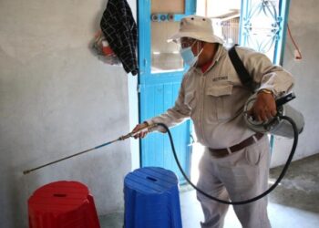 Puebla reduce 91 por ciento los casos de dengue durante 2025