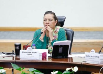 INE presenta a la Comisión de Reforma Electoral propuestas de los OPLEs