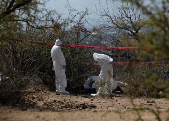 Descubren fosa clandestina con seis víctimas en Paraíso, Tabasco