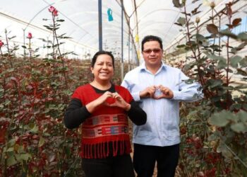Gobierno de Puebla impulsa el consumo local de la rosa poblana