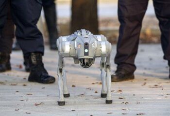 Gigante de Acero incorporará perros robot en operativo de seguridad para el Mundial 2026