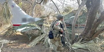 Interceptan avioneta con más de media tonelada de cocaína en Oaxaca