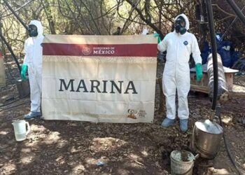Golpe al narcotráfico en Durango: Marina asegura 2.4 toneladas de metanfetamina