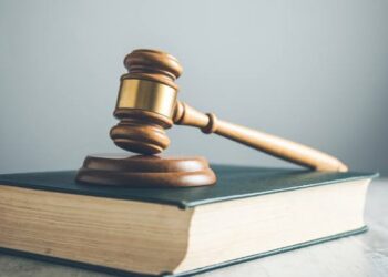 Reforma electoral divide al PVEM y tensiona alianzas en el Congreso