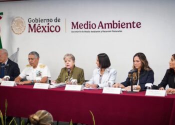 Derrame en el Golfo: investigan buque y chapopoteras como origen; alistan sanciones