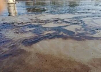 Derrame de hidrocarburo en Veracruz proviene de buque privado en Tabasco: autoridades confirman origen y limpieza