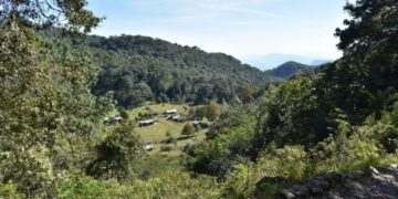 Vota por Tamaulipas en los premios: “Lo Mejor de México»