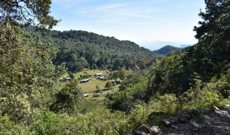 Vota por Tamaulipas en los premios: “Lo Mejor de México»