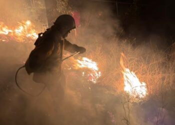 Gobierno de Puebla ha liquidado 88 incendios forestales