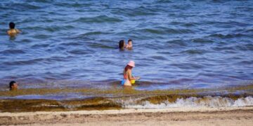 Sargazo bajo control en Quintana Roo: Marina retira más de 16 mil toneladas
