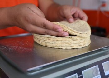 Acuerdo entre gobierno y tortilleros busca contener aumento en el precio de la tortilla