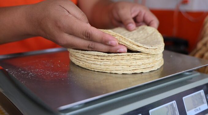 Acuerdo entre gobierno y tortilleros busca contener aumento en el precio de la tortilla
