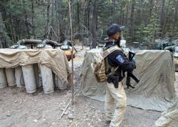 Mueren agentes de EU y mando estatal tras operativo en Chihuahua; Sheinbaum pide aclarar participación