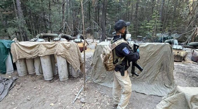 Mueren agentes de EU y mando estatal tras operativo en Chihuahua; Sheinbaum pide aclarar participación