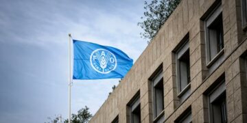 Alza en alimentos podría agravarse por guerra en Irán, advierte la FAO