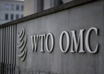 Países de la OMC, incluido México, pactan no cobrar aranceles a productos digitales