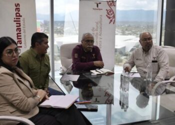 Estructura Tamaulipas proyecto para elevar la producción de carne de calidad