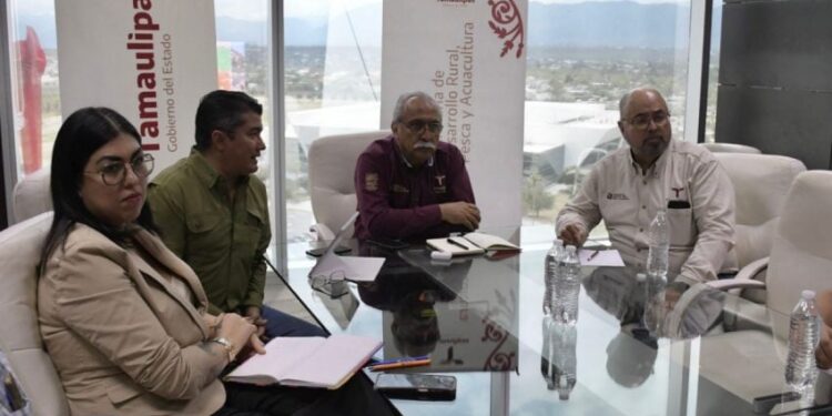 Estructura Tamaulipas proyecto para elevar la producción de carne de calidad